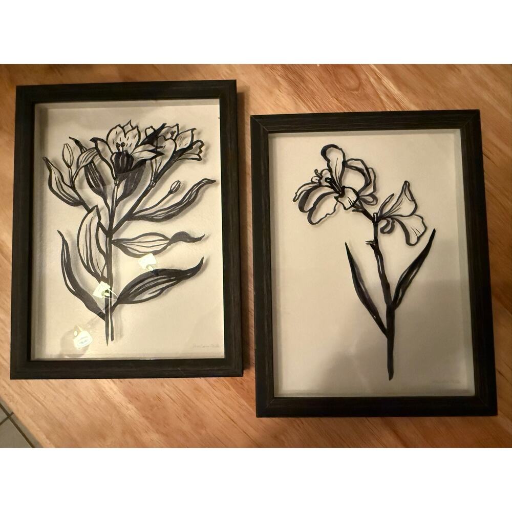 Set of 2 floral sketch framed art, elegant black frame, minimalist boho art